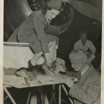 17th Infantry Mascot Laddie Lands in San Francisco