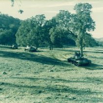 Tanks Drive Through a Wooded Area at Fort Hunter Liggett