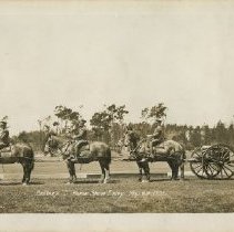 Battery D of the 76th Field Artillery Participate in Horse Show