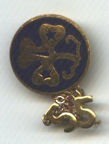 Girl Scout pin