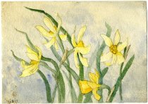 Watercolor of Yellow Irises