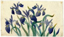 Watercolor of Purple Irises