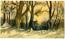 Watercolor of Forest Scene