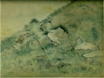 Pasture in New Hampshire