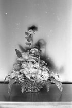 Claire Murchie still life photo