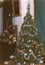 Claire Murchie photo Christmas Trees Dec. 1991