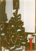 Claire Murchie photo Christmas Trees Dec. 1991