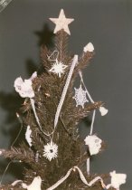 Claire Murchie photo Christmas Trees Dec. 1991