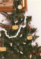 Claire Murchie photo Christmas Trees Dec. 1991