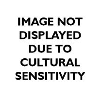 Past Perfect Disclaimer