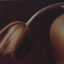 004_011_flowerposter2