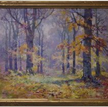 Morning Light in the Woods