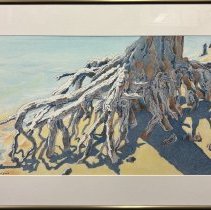 Roots By the Water's Edge