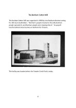 The Bonham Cotton Mill.