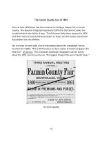 The Fannin County Fair of 1891.