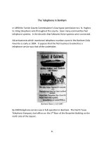 The Telephone in Bonham.