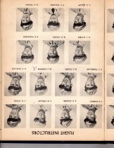 The Dodo, Jones Field, Bonham, Texas, Class 44-C