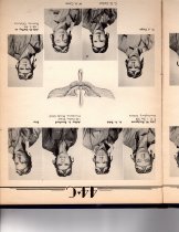 The Dodo, Jones Field, Bonham, Texas, Class 44-C