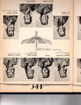 The Dodo, Jones Field, Bonham, Texas, Class 44-C