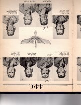The Dodo, Jones Field, Bonham, Texas, Class 44-C