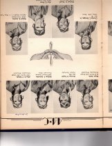 The Dodo, Jones Field, Bonham, Texas, Class 44-C