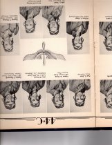 The Dodo, Jones Field, Bonham, Texas, Class 44-C