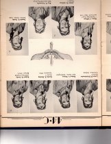 The Dodo, Jones Field, Bonham, Texas, Class 44-C