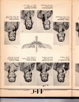 The Dodo, Jones Field, Bonham, Texas, Class 44-C