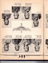 The Dodo, Jones Field, Bonham, Texas, Class 44-C