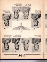 The Dodo, Jones Field, Bonham, Texas, Class 44-C