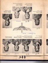 The Dodo, Jones Field, Bonham, Texas, Class 44-C