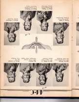 The Dodo, Jones Field, Bonham, Texas, Class 44-C