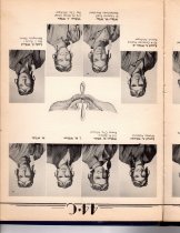 The Dodo, Jones Field, Bonham, Texas, Class 44-C