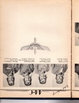 The Dodo, Jones Field, Bonham, Texas, Class 44-C