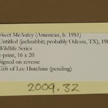 Untitled (Wildlife series; jackrabbit; probably Odessa) (Tag)