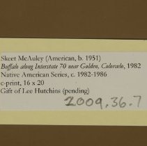 Buffalo along Interstate 70 near Golden, Colorado (Tag)