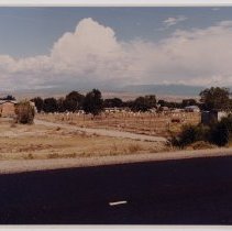 Untitled (cemetery)