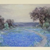 Field of Bluebonnets