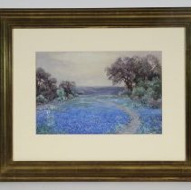 Field of Bluebonnets