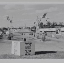 Untitled (My Town: Along the Main Streets)