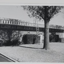 Untitled (My Town: Taking Care of Business)