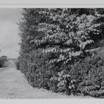 Untitled (My Town: Change)