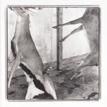 Hanging Deer, Hardin County