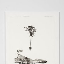 A Portrayal of Its Maker (series of 61 prints)