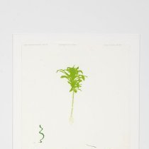 A Portrayal of Its Maker (series of 61 prints)