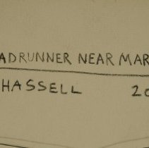 Roadrunner Near Marfa