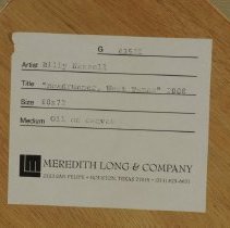 Roadrunner Near Marfa