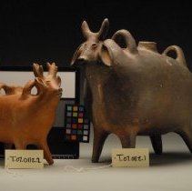 Canteens (Brahma Bulls and Deer)