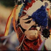 Le Danza de los Tecuanes