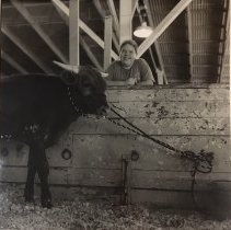 Blaine and Sparkle, East Texas Fair